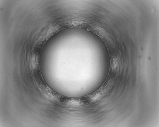 X0000088150236200705141556