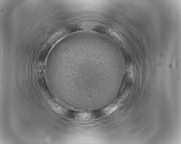 X0000088150237200705141556