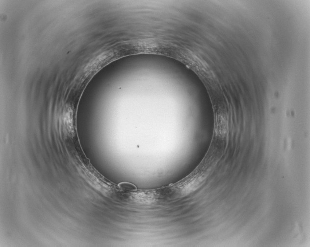 X0000088150238200705141556