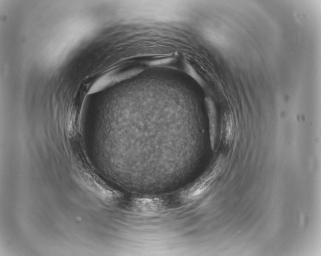 X0000088150239200705141556