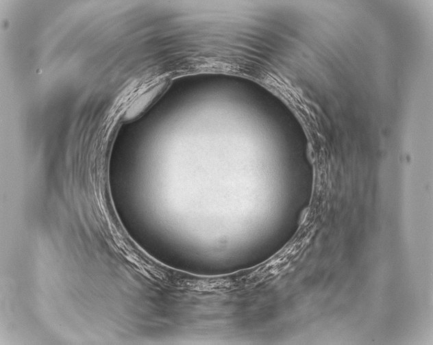 X0000088150241200705141555