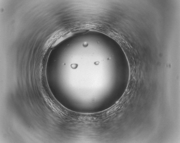 X0000088150242200705141555