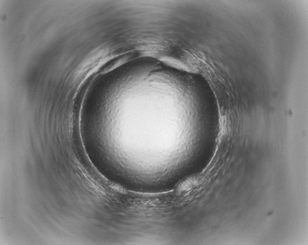 X0000088150243200705141555