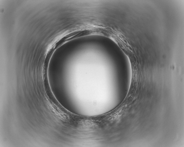 X0000088150244200705141555