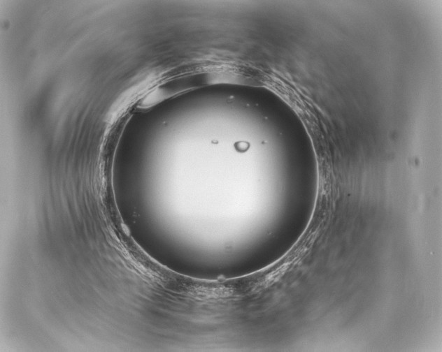 X0000088150245200705141555