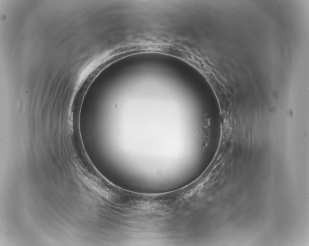 X0000088150246200705141555