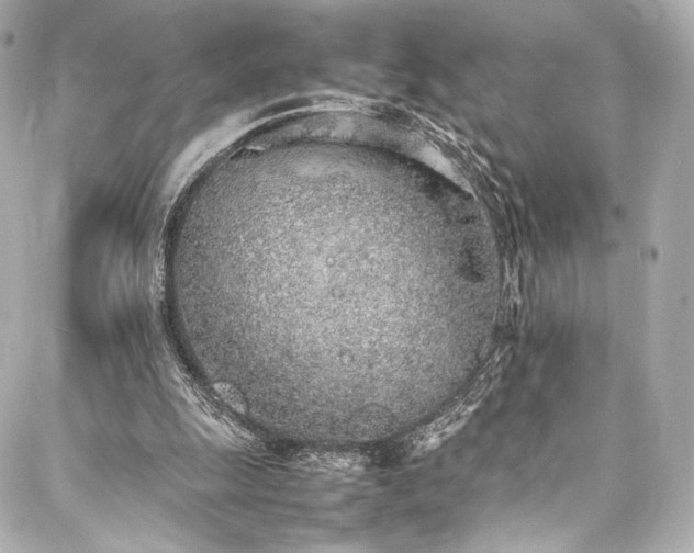 X0000088150247200705141555