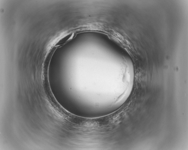 X0000088150248200705141555