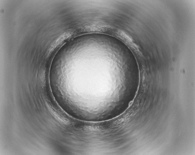 X0000088150250200705141555