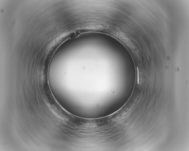 X0000088150252200705141555