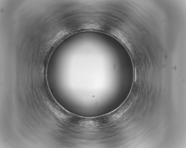 X0000088150253200705141556