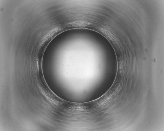 X0000088150254200705141556