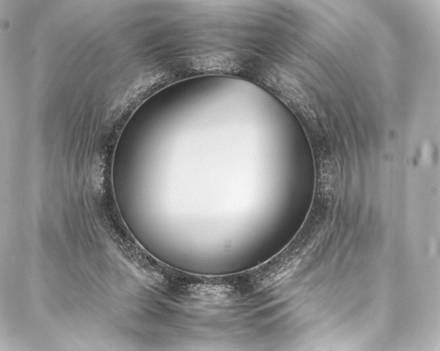 X0000088150255200705141556