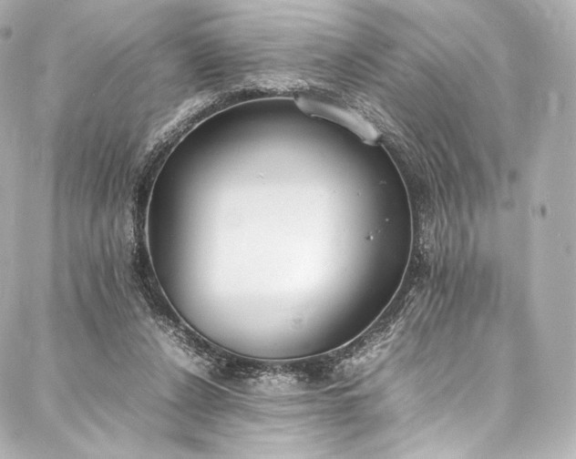 X0000088150256200705141556