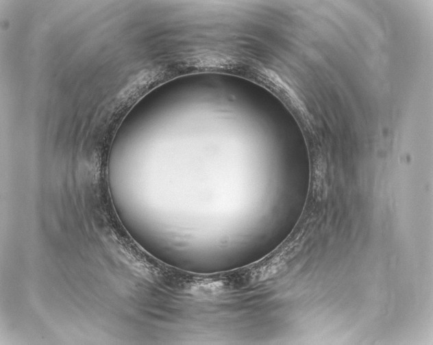 X0000088150257200705141556