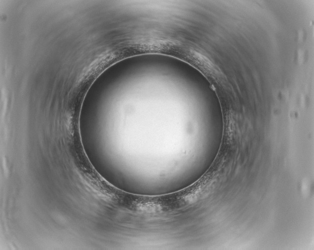 X0000088150258200705141556