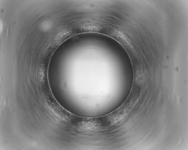 X0000088150259200705141556