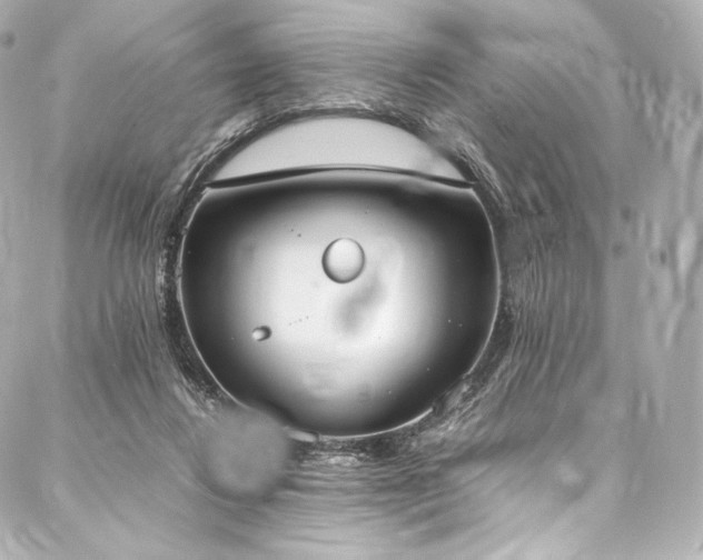 X0000088150260200705141556