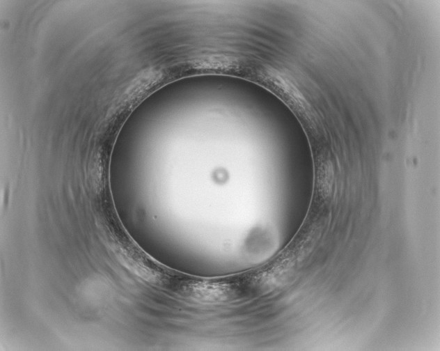 X0000088150261200705141556