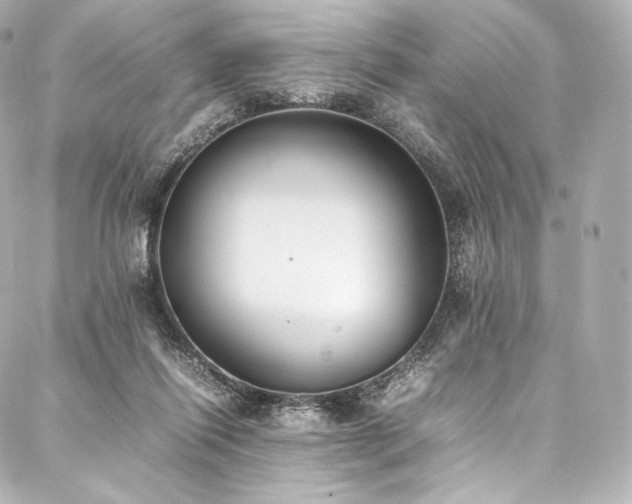 X0000088150262200705141556