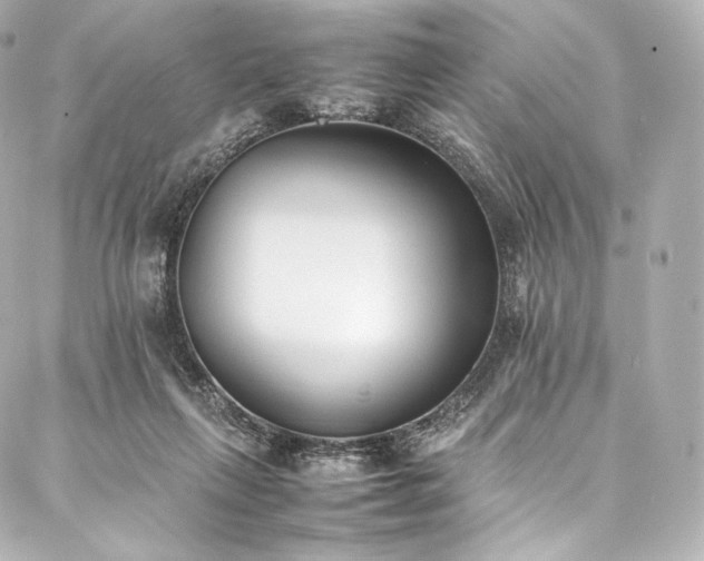 X0000088150263200705141556