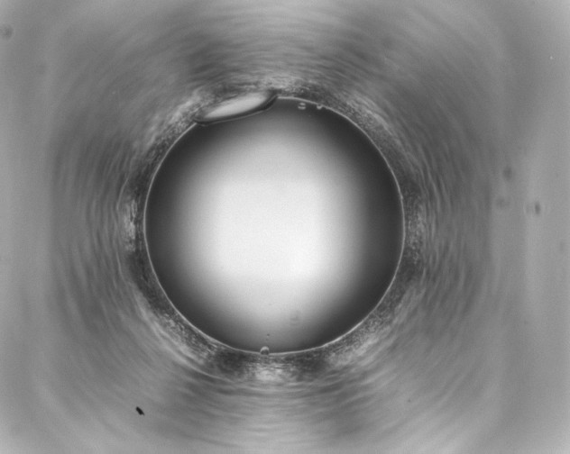 X0000088150264200705141556