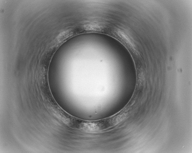 X0000088150265200705141556