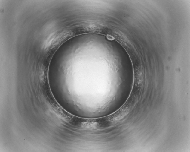 X0000088150266200705141556