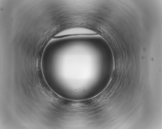 X0000088150268200705141556