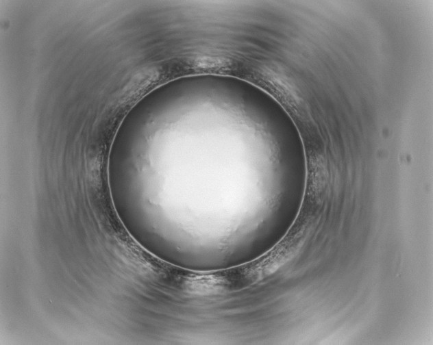 X0000088150269200705141556