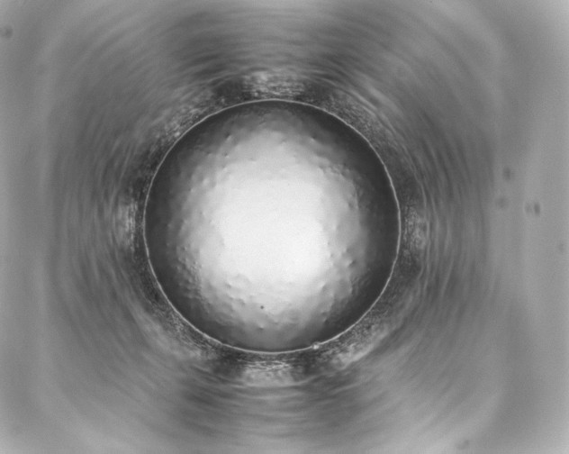 X0000088150271200705141556