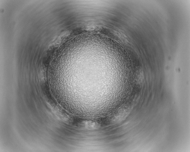 X0000088150272200705141556