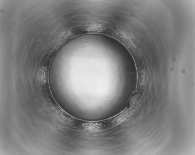 X0000088150273200705141556