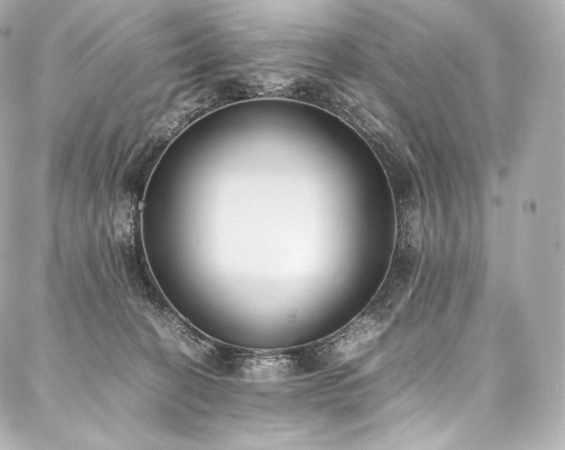 X0000088150274200705141556