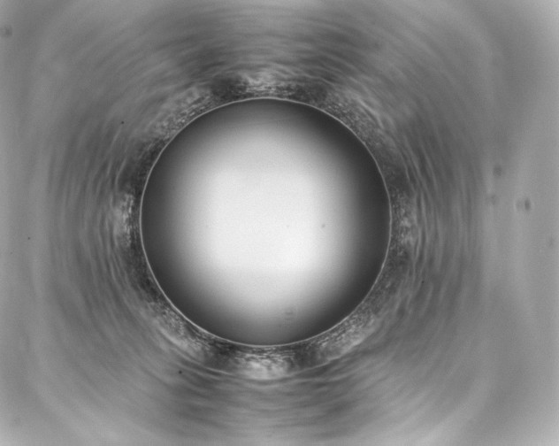 X0000088150275200705141556