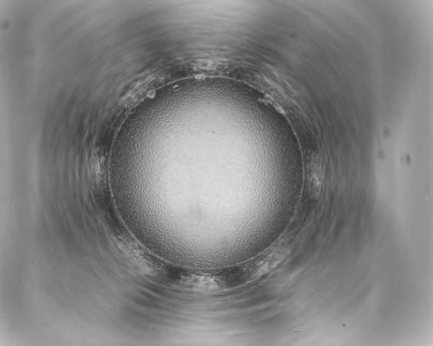 X0000088150276200705141556