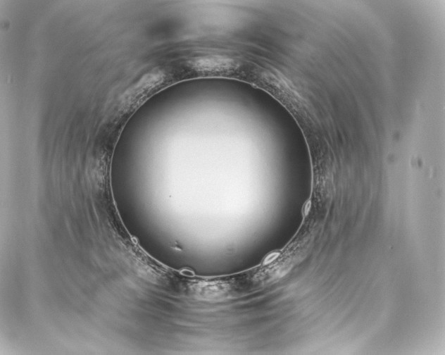 X0000088150277200705141556