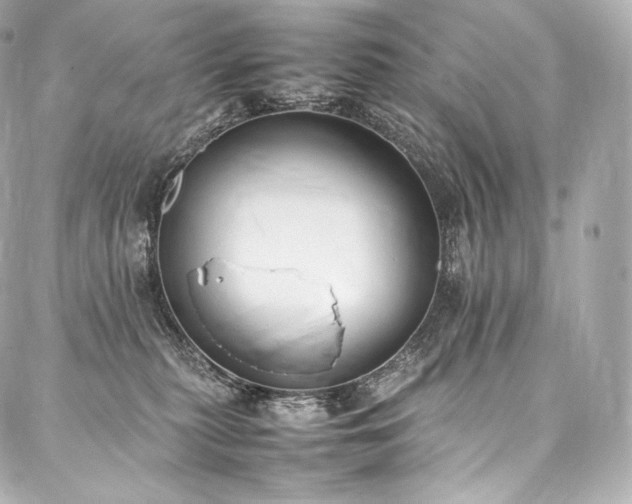 X0000088150279200705141556