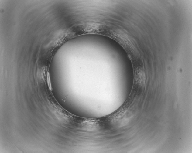 X0000088150280200705141556