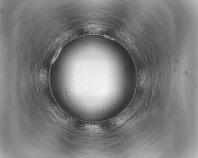 X0000088150283200705141556