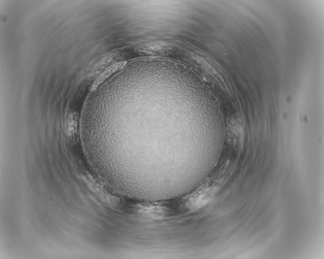 X0000088150284200705141556