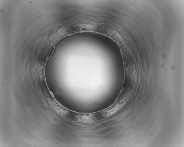 X0000088150285200705141556