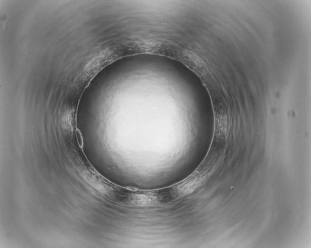 X0000088150286200705141556