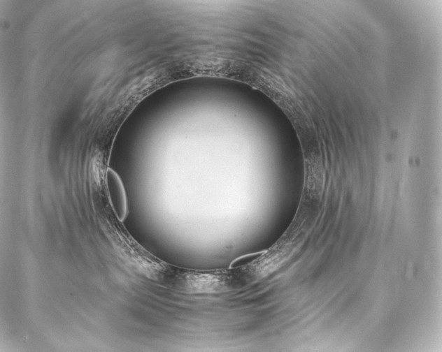 X0000088150287200705141556