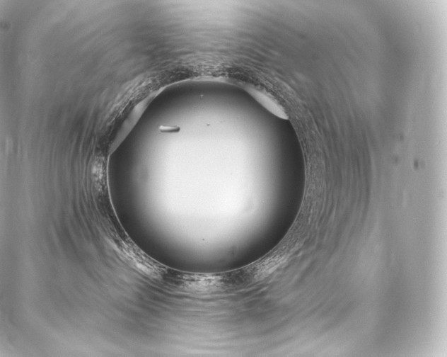 X0000088150288200705141556