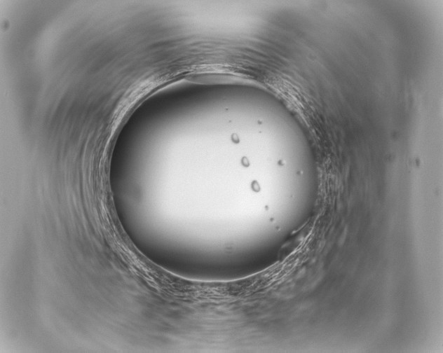 X0000088150289200705141555