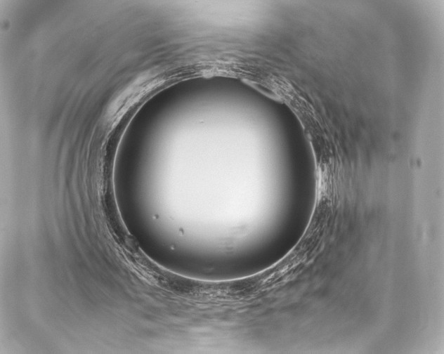 X0000088150291200705141555