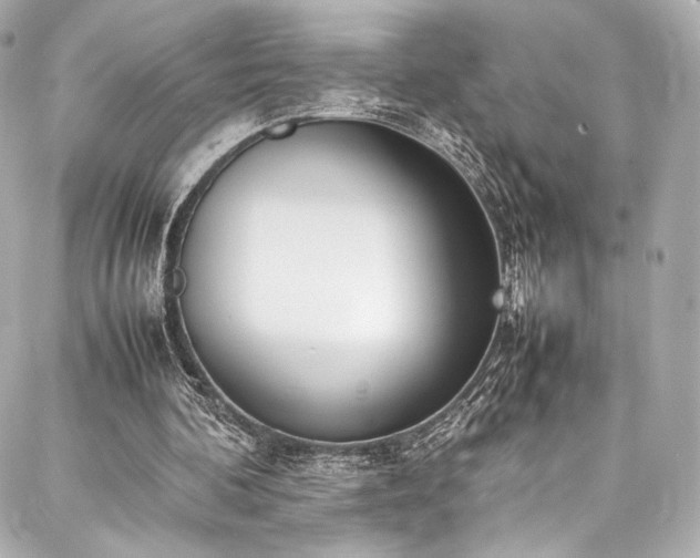 X0000088150292200705141555