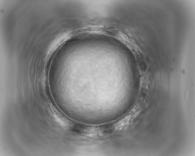 X0000088150293200705141555