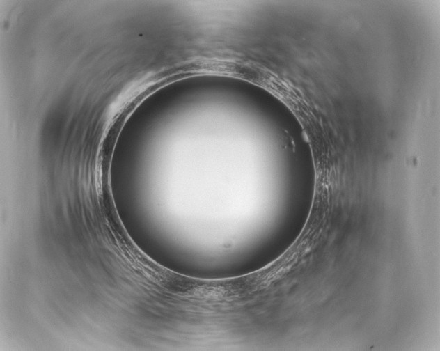 X0000088150294200705141555